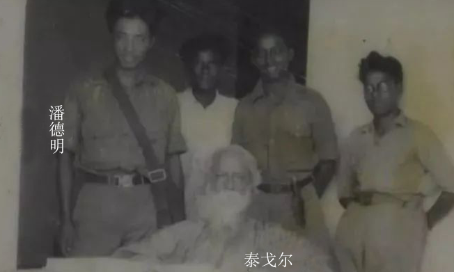 泰1.png